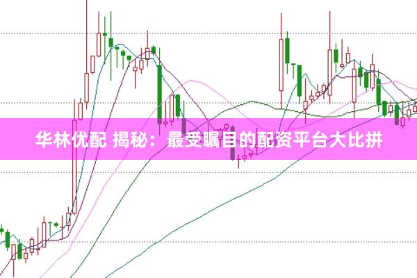 华林优配 揭秘：最受瞩目的配资平台大比拼