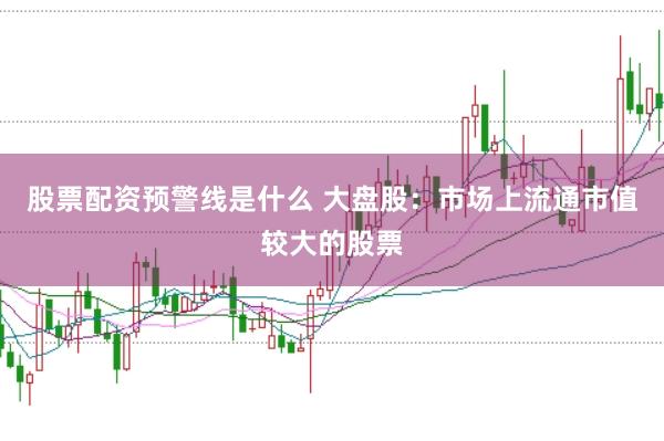 股票配资预警线是什么 大盘股：市场上流通市值较大的股票