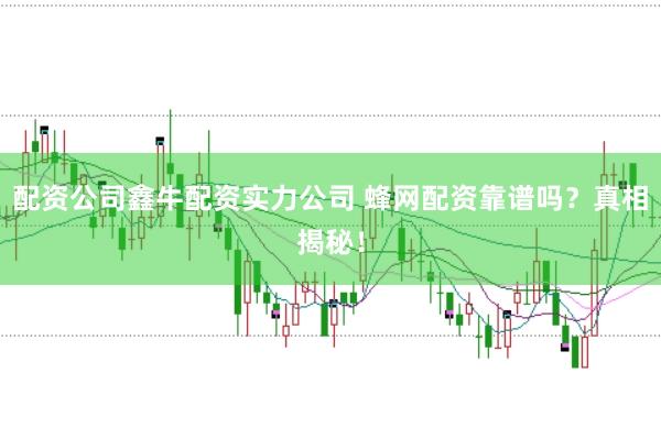 配资公司鑫牛配资实力公司 蜂网配资靠谱吗？真相揭秘！