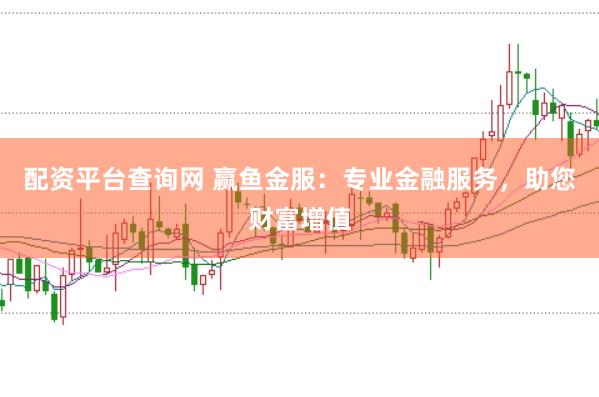 配资平台查询网 赢鱼金服：专业金融服务，助您财富增值