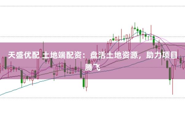 天盛优配 土地端配资：盘活土地资源，助力项目腾飞