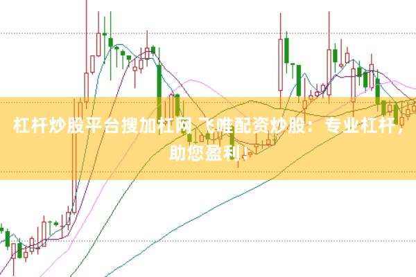 杠杆炒股平台搜加杠网 飞唯配资炒股：专业杠杆，助您盈利！