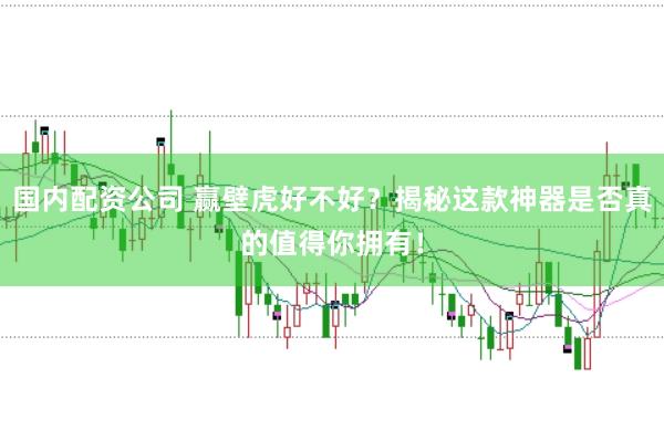 国内配资公司 赢壁虎好不好？揭秘这款神器是否真的值得你拥有！