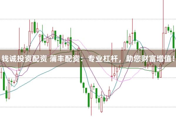 钱诚投资配资 蒲丰配资：专业杠杆，助您财富增值！