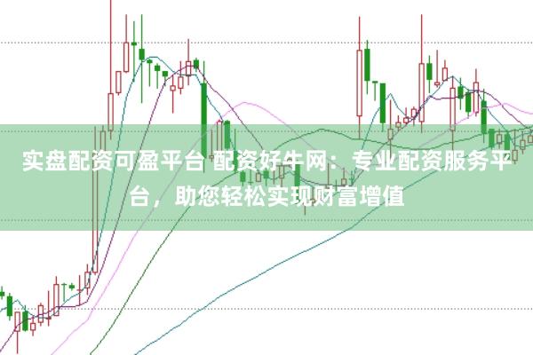 实盘配资可盈平台 配资好牛网：专业配资服务平台，助您轻松实现财富增值