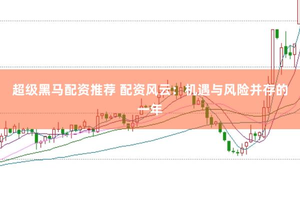 超级黑马配资推荐 配资风云：机遇与风险并存的一年