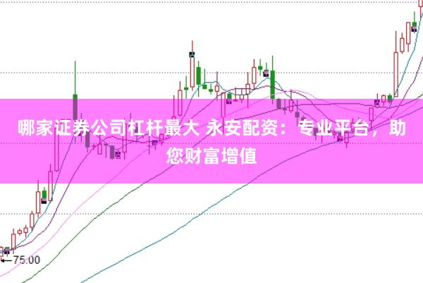 哪家证券公司杠杆最大 永安配资：专业平台，助您财富增值