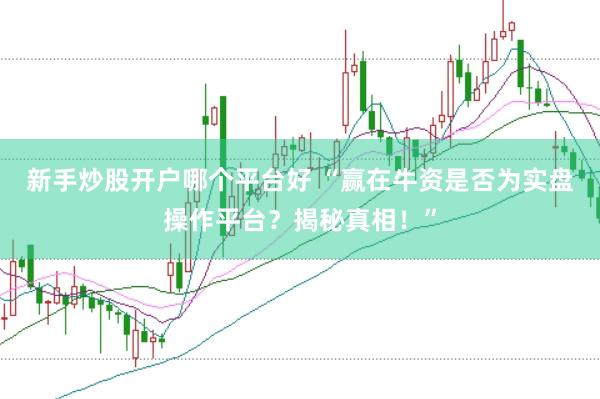 新手炒股开户哪个平台好 “赢在牛资是否为实盘操作平台？揭秘真相！”