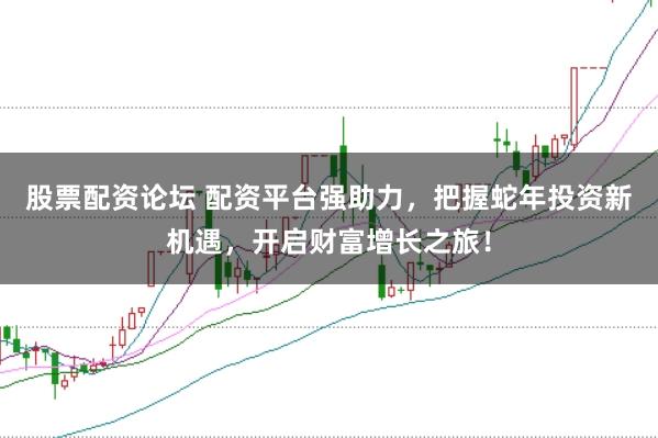 股票配资论坛 配资平台强助力，把握蛇年投资新机遇，开启财富增长之旅！