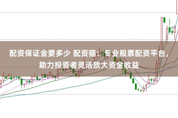 配资保证金要多少 配资猫：专业股票配资平台，助力投资者灵活放大资金收益