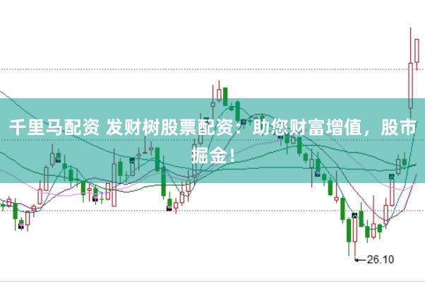 千里马配资 发财树股票配资:助您财富增值,股市掘金!