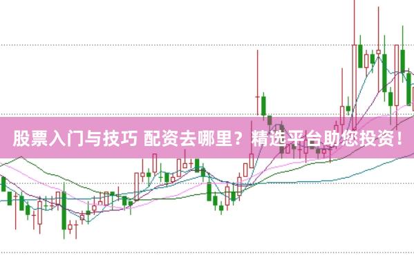 股票入门与技巧 配资去哪里？精选平台助您投资！