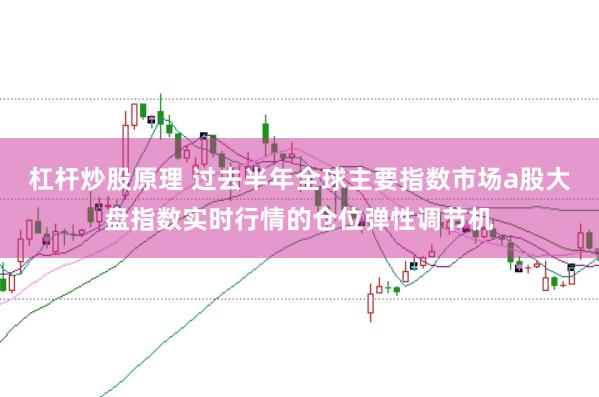 杠杆炒股原理 过去半年全球主要指数市场a股大盘指数实时行情的仓位弹性调节机