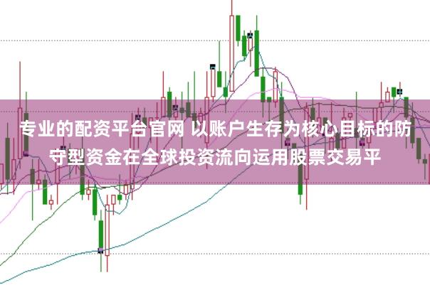 专业的配资平台官网 以账户生存为核心目标的防守型资金在全球投资流向运用股票交易平