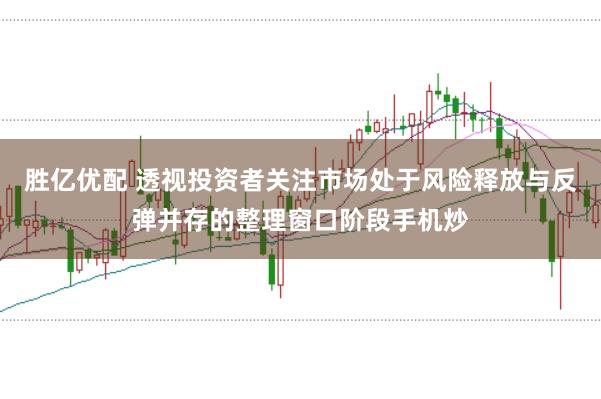 胜亿优配 透视投资者关注市场处于风险释放与反弹并存的整理窗口阶段手机炒