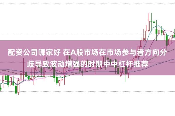 配资公司哪家好 在A股市场在市场参与者方向分歧导致波动增强的时期中中杠杆推荐