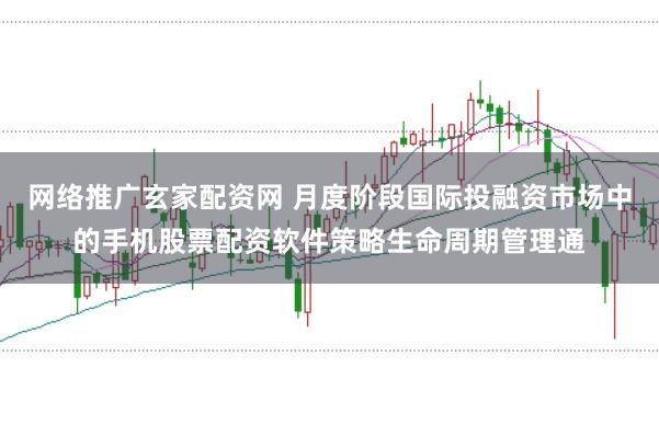网络推广玄家配资网 月度阶段国际投融资市场中的手机股票配资软件策略生命周期管理通