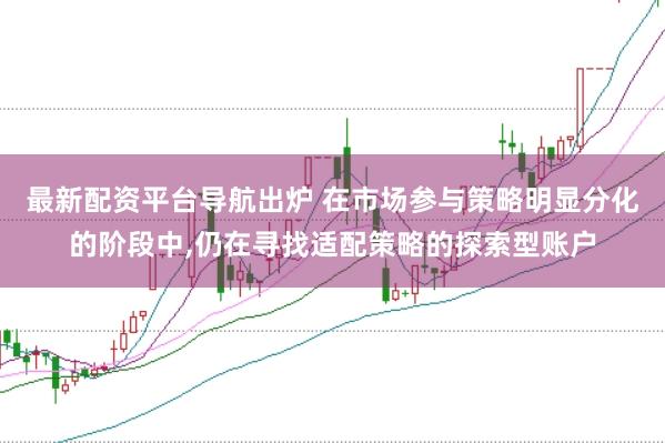 最新配资平台导航出炉 在市场参与策略明显分化的阶段中，仍在寻找适配策略的探索型账户