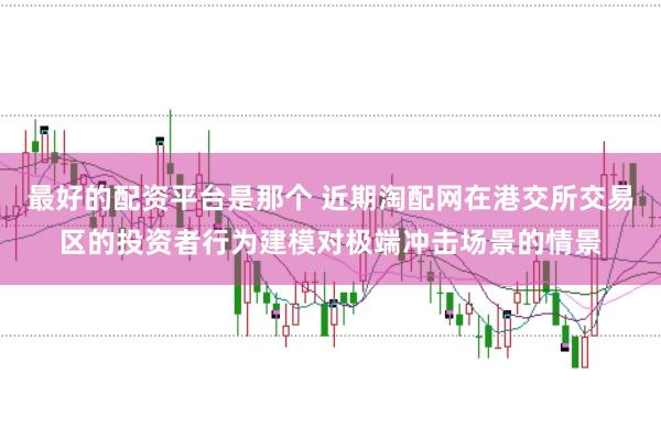 最好的配资平台是那个 近期淘配网在港交所交易区的投资者行为建模对极端冲击场景的情景