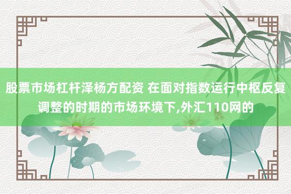 股票市场杠杆泽杨方配资 在面对指数运行中枢反复调整的时期的市场环境下，外汇110网的
