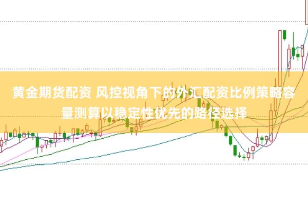 黄金期货配资 风控视角下的外汇配资比例策略容量测算以稳定性优先的路径选择