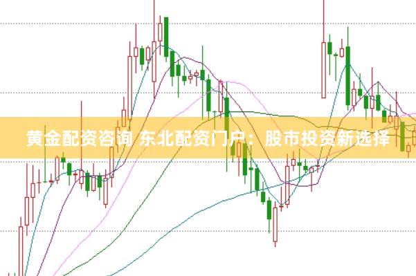 黄金配资咨询 东北配资门户:股市投资新选择