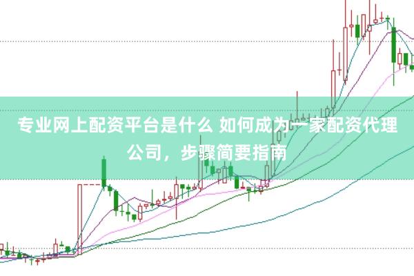 专业网上配资平台是什么 如何成为一家配资代理公司,步骤简要指南