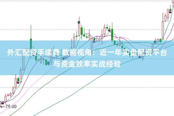 外汇配资手续费 数据视角：近一年实盘配资平台与资金效率实战经验