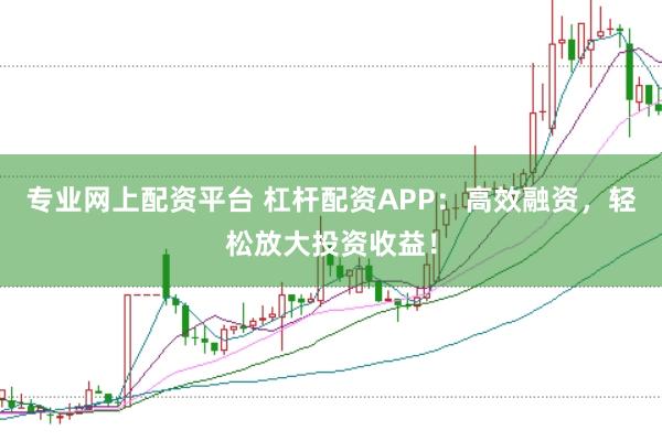 专业网上配资平台 杠杆配资APP：高效融资，轻松放大投资收益！