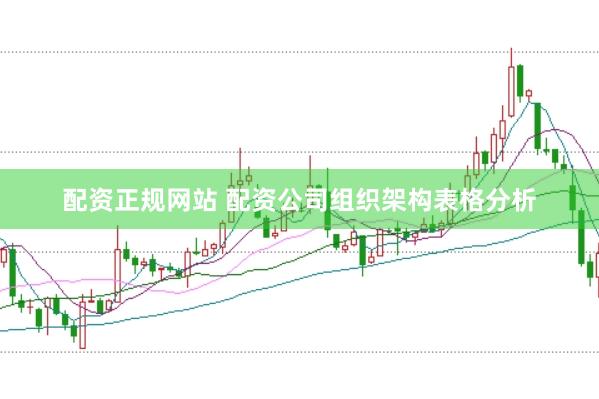 配资正规网站 配资公司组织架构表格分析